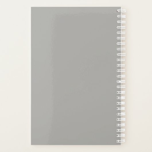 Wirbelsäule Planer (Rückseite)