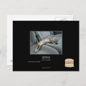 Wirbelsäule Postkarte (Vorne/Hinten)