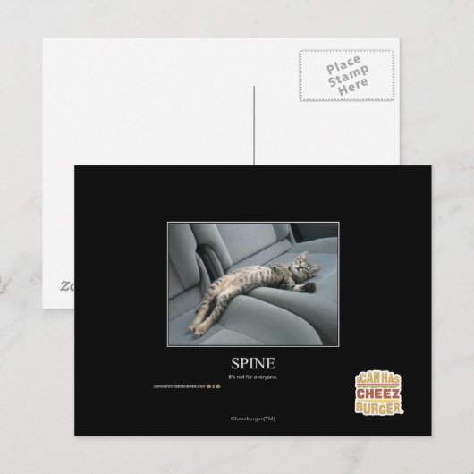 Wirbelsäule Postkarte (Vorne/Hinten)