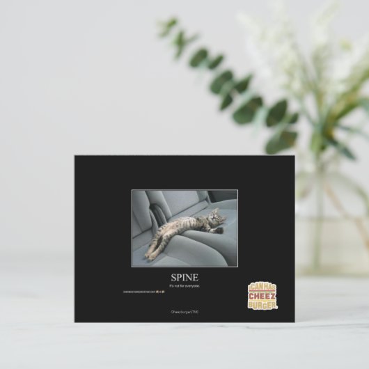 Wirbelsäule Postkarte (Stehend Vorderseite)