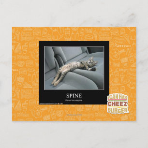 Wirbelsäule Postkarte