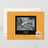 Wirbelsäule Postkarte (Vorne/Hinten)