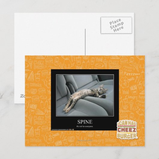 Wirbelsäule Postkarte (Vorne/Hinten)