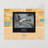 Wirbelsäule Postkarte (Vorderseite)