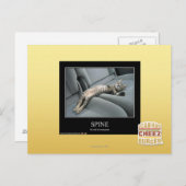 Wirbelsäule Postkarte (Vorne/Hinten)