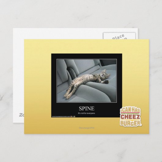 Wirbelsäule Postkarte (Vorne/Hinten)