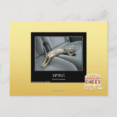 Wirbelsäule Postkarte (Vorderseite)