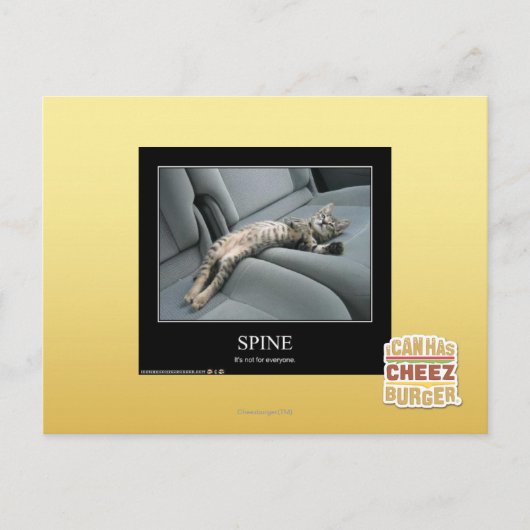 Wirbelsäule Postkarte (Vorderseite)