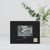 Wirbelsäule Postkarte (Stehend Vorderseite)