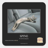 Wirbelsäule Quadratischer Aufkleber (Vorderseite)