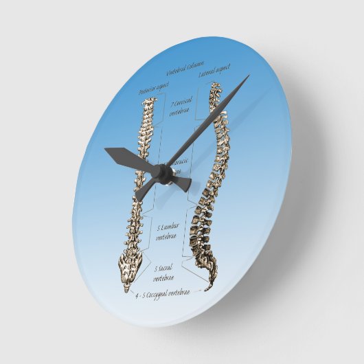 Wirbelsäule Runde Wanduhr (Winkel)