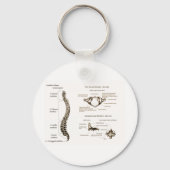Wirbelsäule Sepia Schlüsselanhänger (Vorderseite)