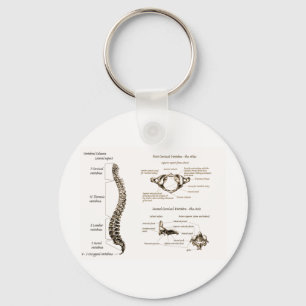 Wirbelsäule Sepia Schlüsselanhänger