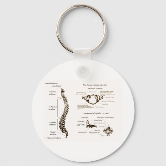 Wirbelsäule Sepia Schlüsselanhänger (Vorderseite)