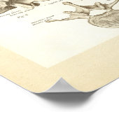 Wirbelsäule und Wirbelsäule-Anatomie-Poster Poster (Ecke)