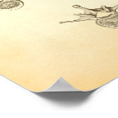 Wirbelsäule und Wirbelsäulenanatomie Poster Chirop (Ecke)