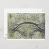 Wirbelsäulenneuronen - 5 postkarte (Vorne/Hinten)