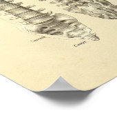 Wirbelsäulenwirbelknochen drucken poster (Ecke)