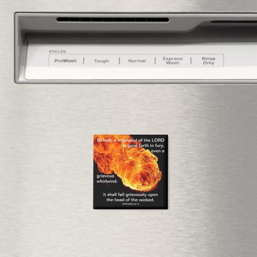 Wirbelwind des Herrn - Magnet (In Situ (Geschirrspüler))