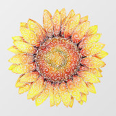 Wirble Sonnenblume Fensteraufkleber (Blatt)