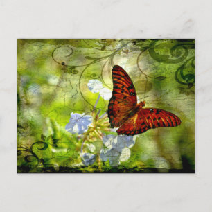 Wirbler Schmetterling Postkarte