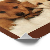 Wird Adoption Ihre erste Option sein? Poster (Ecke)