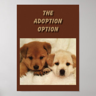 Wird Adoption Ihre erste Option sein? Poster