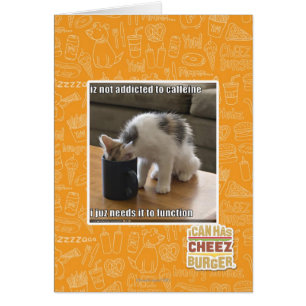 Wird nicht zum Koffein gewöhnt