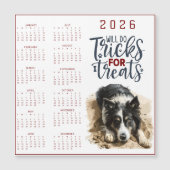 Wird Tricks Für Leckerlis Hund Kalendar machen Magnetkarte (Vorderseite)