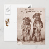 Wird um Essen betteln und weinen Postkarte (Vorne/Hinten)