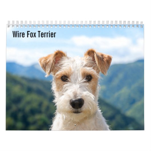 Wire Fox Terrier 2027 Kalender (Titelbild)