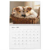 Wire Fox Terrier 2027 Kalender (Mär 2027)