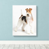 Wire Fox Terrier Dog Foto Leinwanddruck (Insitu (Holzboden))