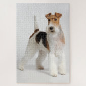Wire Fox Terrier Dog Foto Puzzle (Vertikal)