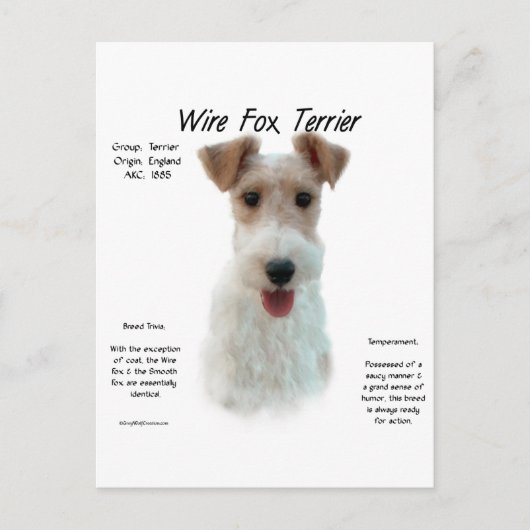 Wire Fox Terrier Geschichte; über Draht-Fuchs-Terr Postkarte (Vorderseite)