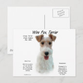Wire Fox Terrier Geschichte; über Draht-Fuchs-Terr Postkarte (Vorne/Hinten)