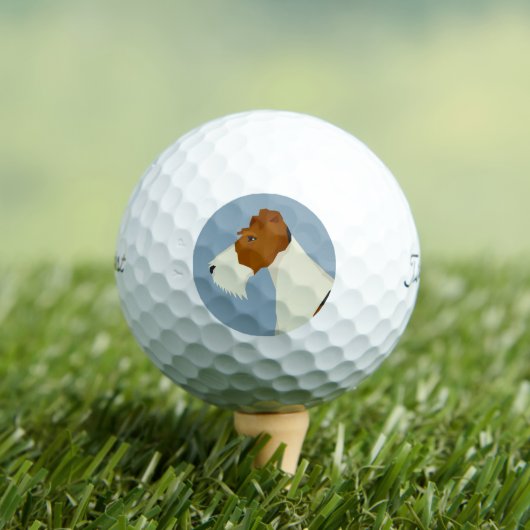 Wire Fox Terrier Golfball (Insitu T-Shirt)