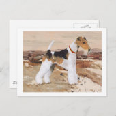 Wire Fox Terrier Herbst Postkarte (Vorne/Hinten)