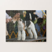 Wire Fox Terrier Hundeschau Puzzle (Horizontal)