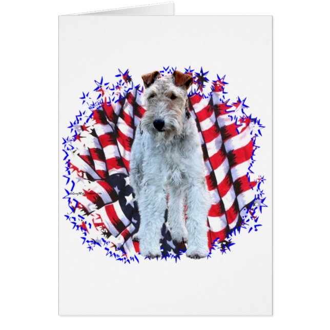 Wire Fox Terrier Patriot (Vorne)