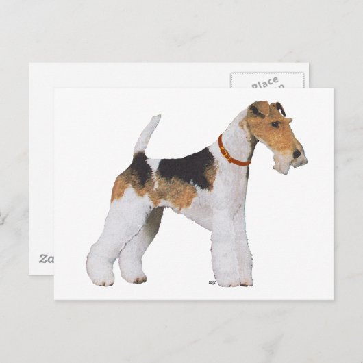 Wire Fox Terrier Postkarte (Vorne/Hinten)