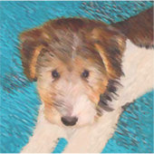 Wire Fox Terrier Puppy Painting - Original Dog Art Aufkleber (Vorderseite)