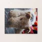 Wire Fox Terrier Puzzle (Horizontal)