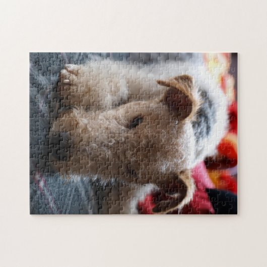 Wire Fox Terrier Puzzle (Horizontal)