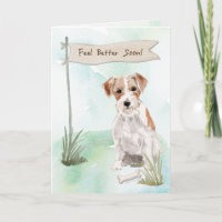 Wire Haar Jack Russell fühlen sich besser mit Hund