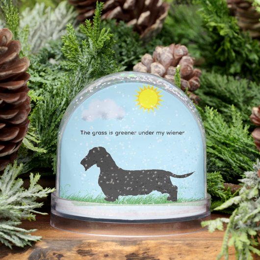 Wire Hair Dachshunnd Snow Globe Schneekugeln (Winter)