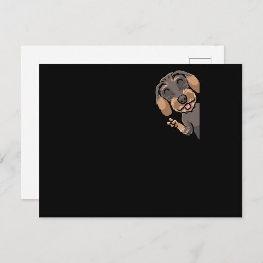 Wire-Haired Dachshund Dog Postkarte (Vorne/Hinten)