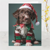 Wire Haired Pointer Elf Welpe Weihnachtskarte Karte (Gelbe Blume)