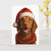 Wire haired Vizsla in a Santa hat Christmas card Karte (Gelbe Blume)