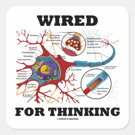 Wired For Thinking Quadratischer Aufkleber (Vorderseite)